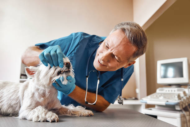  Washington, NC Emergency Dentist Pros