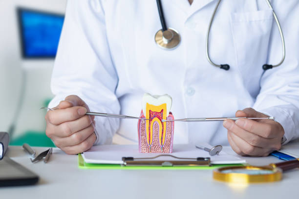 Best Emergency Root Canal Treatment in Washington, NC